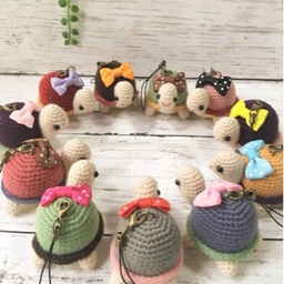 chiimade  かめちい
