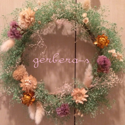gerbera-s