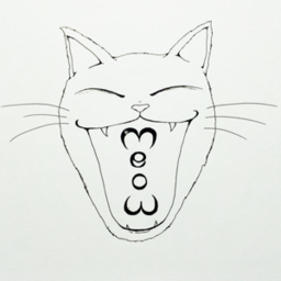 nkn_meow