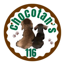 chocotan