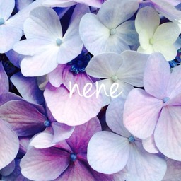 nenejourney