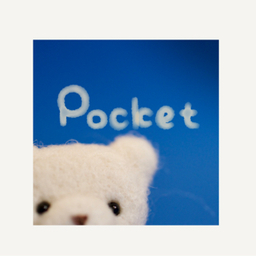 Pocket