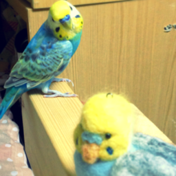 ざぶとん