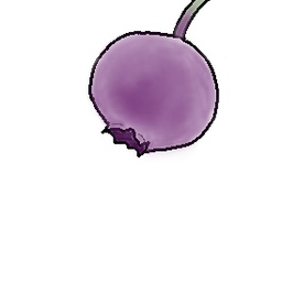 nono