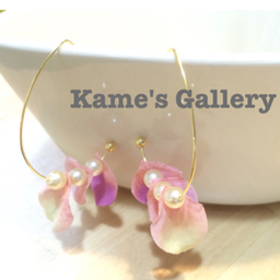 kamenet0214