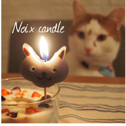 Noix candle