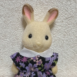 ゆらぎ