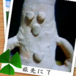 ひまわり
