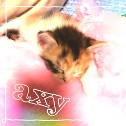 axy