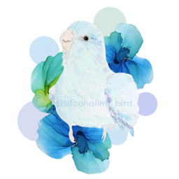 Pio(ぴお)