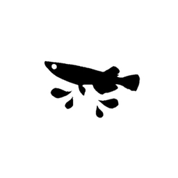 メダカフェ