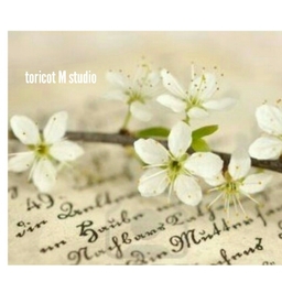 toricot M studio