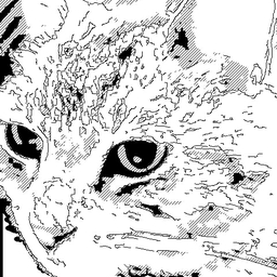 chaton