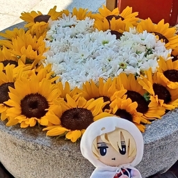やん