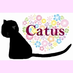 Catus