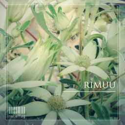 RIMUU