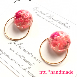 ntu*petal