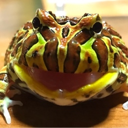 manabu3