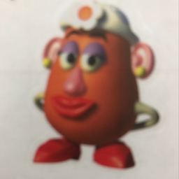 ayacocorai