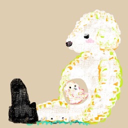 toyphoebe