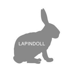 lapindoll