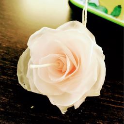 deartoday