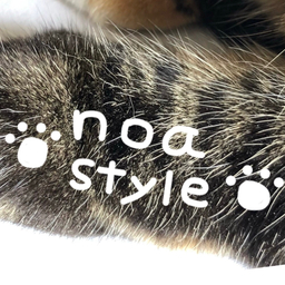 noastyle