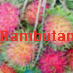 Rambutan