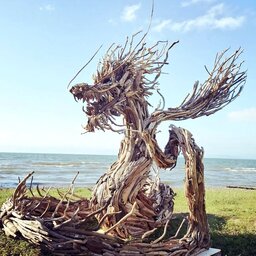 流木お兄さん