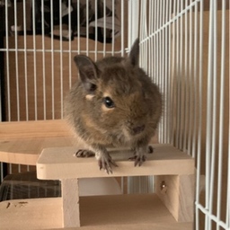 hitomin0610