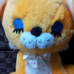 ちゃんぷるー