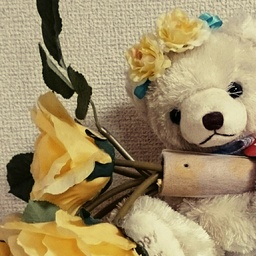 Rui.RIBON