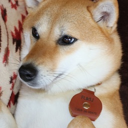 寅福