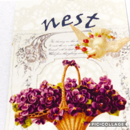 nest