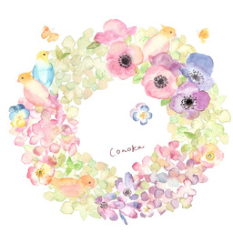 conoca⚘