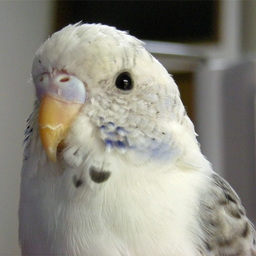 たかなしゆう
