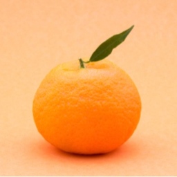 mikan