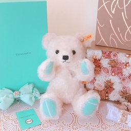 🎀Petit Ribbon🎀