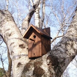BirdBox.