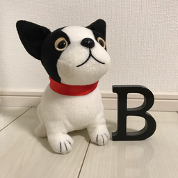 B-HOP