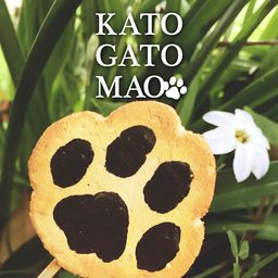 katogatomao