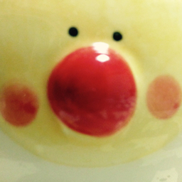 pp