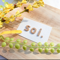 soi.