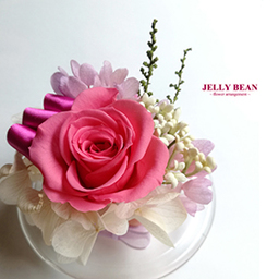 JELLY BEAN