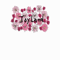 joyland