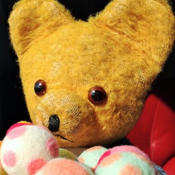 ヒルアンドハナ