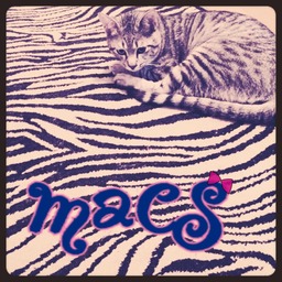 macs