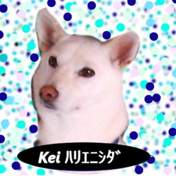 Kei ハリエニシダ