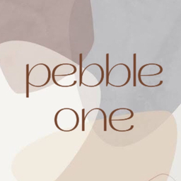 pebble one