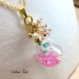 cottontail17